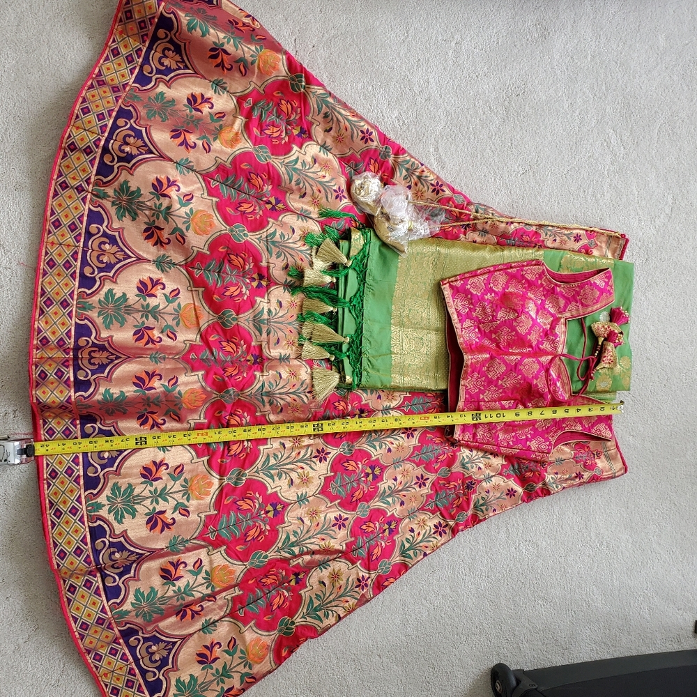 Chaniya Choli (Brand New)
